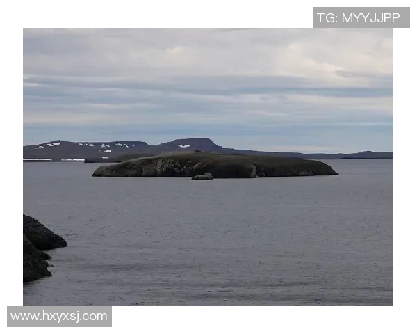 乌拉尔与喀拉的较量分析：两队实力对比与战术探讨